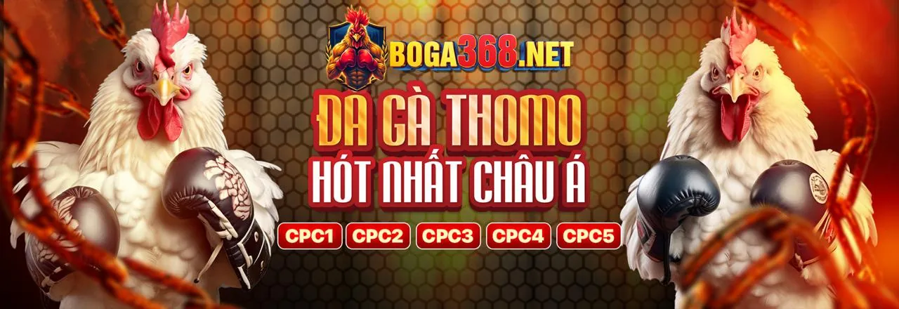 Bắt đầu với 33win.8bet